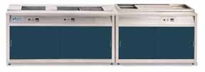 [Ultrasonic Cleaning Bench - Tank-in-Frame Style]